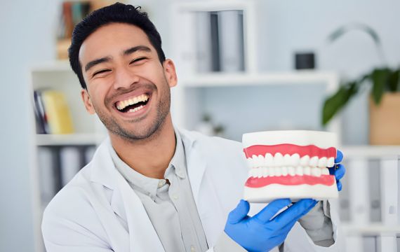 dentist showcasing a dummy teeth set